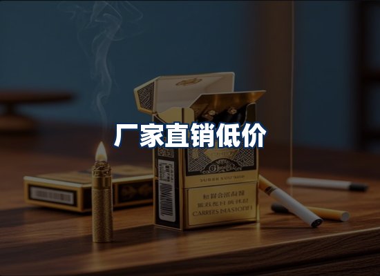 专业团队办公环境